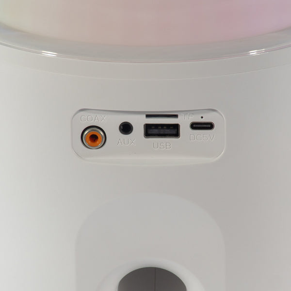 PartyZone Karaoke Sæt m. 2 Mikrofoner (Hvid)