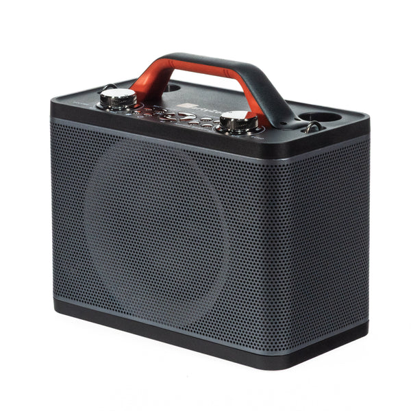 PartyZone Karaoke Højttaler m. 2 Mikrofoner (Sort)