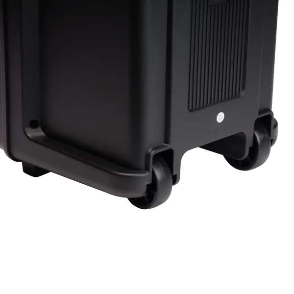 Denver TSP-307 Bluetooth Trolleyhøjttaler - LED-lys, 120W, Karaoke Indbygget